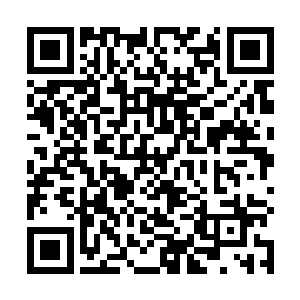 就连秦方都没有想到龙哥的心理素质会差到这个地步的二维码生成