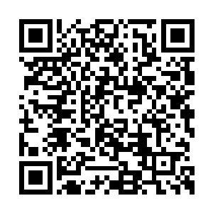 就连站在大殿中的其余几名长老也是非常的愤怒二维码生成