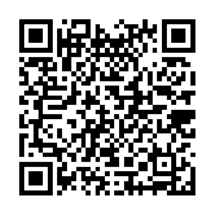 就连网络聊天都是最近跟其他几位姑娘学着开始的二维码生成