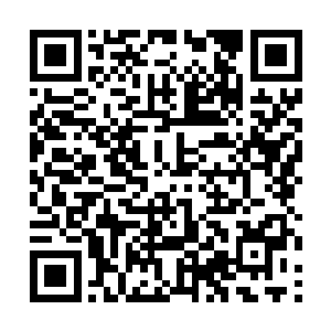 就连美国的梅奥诊所都开出了年薪千万的薪金聘请他二维码生成