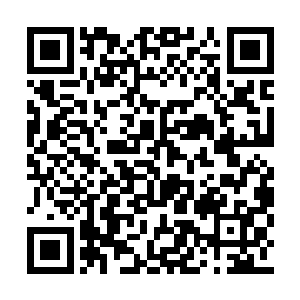 就连聂离也完全摸不透神血妖狸到底有什么能力二维码生成