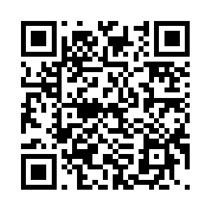 就连至尊战堡本身的维护和操控情况二维码生成
