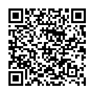 就连莫寒仙所在的真仙峰各大长老都开始认真考虑起来二维码生成