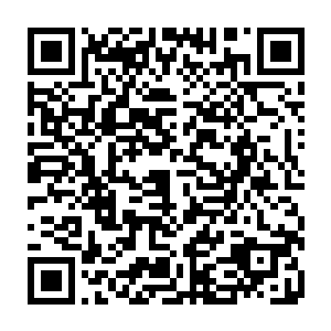 就连被她鼻孔里塞了蛇的老鼠看到她的模样后恨意也神奇般的消除了不少二维码生成