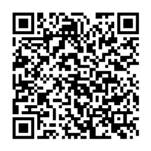 就连西街那个身子骨早就被酒肉女色摧残的不像样的金牌打手仇九二维码生成