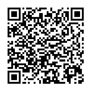 就连许琴扬和许紫云等这些低阶圣级修士都在追着圣级九层域外天魔打二维码生成