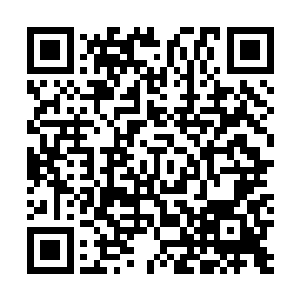 就连距离无极忍者最近的佐佐木老先生也与它相差一大截二维码生成