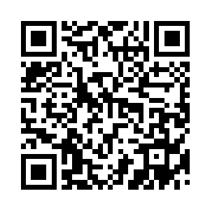 就连路灯和路口的红绿灯也没有反应二维码生成