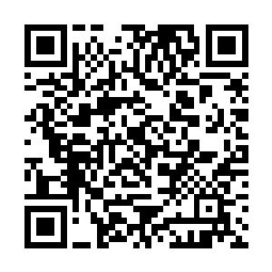 就连躺在书桌上连手指头都不能动的怀特也被吓到了二维码生成