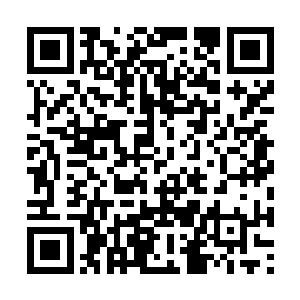 就连远在阁楼之上的宋娇也化成一道红光急遁而来二维码生成