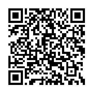 就连那些就在龙晓晓身旁的太上长老也一言不发二维码生成