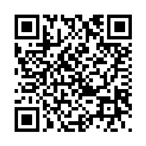 就连那些心魔也是在飞入夏天的识海之中后二维码生成