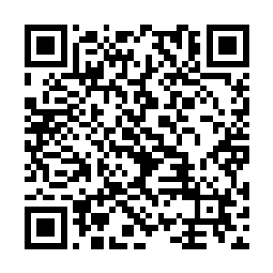 就连那十几个强横无比的绝世强者也一样被压制了二维码生成