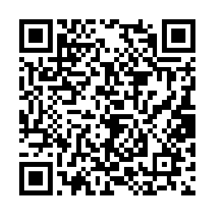 就连陈诚之前在韩服也玩过几把最近才出的新英雄二维码生成