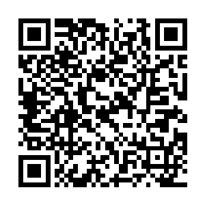 就连魏宇自己都是借的汉国北海舰队以及青盟商贸舰队二维码生成