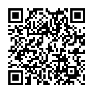 就连龙驹这种血气方刚的灵兽接触久了也受不了二维码生成