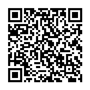 就那么无中生有地在手心中生长出来一朵紫色玉莲花二维码生成