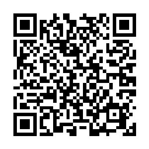 就需要你们做你们心中认为是出卖你们家族的事情二维码生成