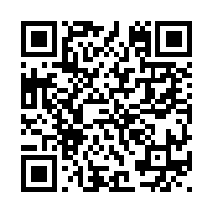 就非要破坏自己所安排的一切计划二维码生成