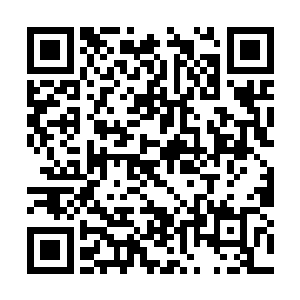 尹仇的元神耗费了不少元神之力想要重新凝聚肉身二维码生成