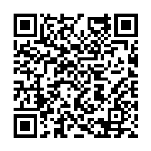 尹克胸口的那一枪会不会真的是他造成的流弹所致二维码生成