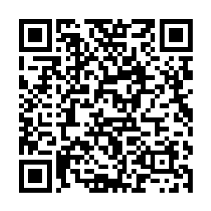 尼古拉斯介绍的这栋别墅是一片别墅群中的其中一座二维码生成