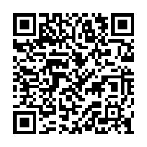 尼日尔政府部队和联合反恐部队也不会插手去管二维码生成
