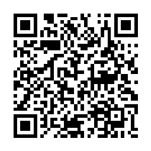 尽管我更想要找到和蜈蚣元兽相同的中等帝级元兽二维码生成