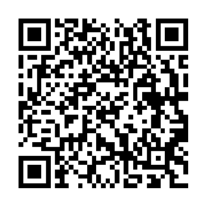 尽管所有人的注意力都是林思伊暴打陈绍峰的事情二维码生成