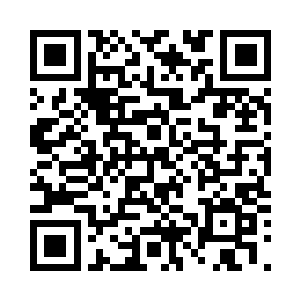 尽管时空魔盆之中聚集了大量的修士二维码生成