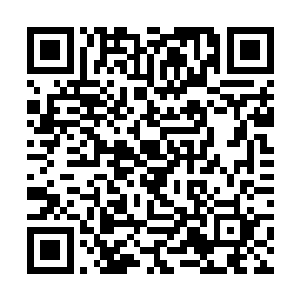 尽管莫幽罗不愿意相信眼前的小子日后可以飞黄腾达二维码生成