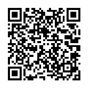 尽管这一点左书记从来都没有当着雷欢喜的面说过二维码生成