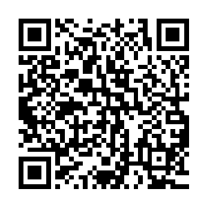居然一下子将白芒真实的样子赤果果地揭开摊在李自新的眼前二维码生成
