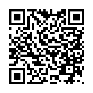 居然也有模有样地把鱼钩甩下去了二维码生成