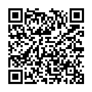 居然仅凭剑丸和浑天罗盘就和祖龙对抗到如此地步二维码生成