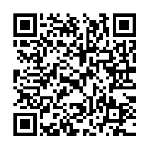 居然凭着一己之力弄清楚了艳毒花的那么多的特性二维码生成