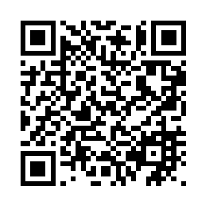 居然去炼制一个大而无当的乌龟壳子二维码生成