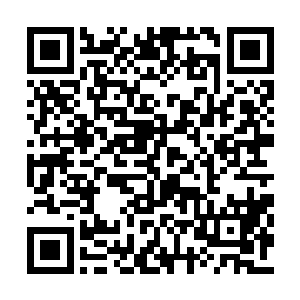 居然可以直接跃过知识积累个实验数据收集阶段二维码生成