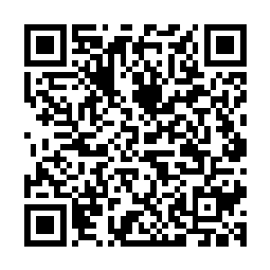 居然哈哈大笑着张开双臂冲等在电梯口的那个帅小伙走了过去二维码生成