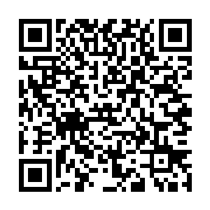 居然如此大剌剌的说只要自己不被灭亡就不会离去二维码生成