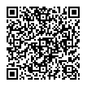 居然将他一向为傲的龙象菩提金身都给打破了……逼得他不得不动用自己压箱底的二维码生成