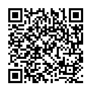 居然就能对蓝岛的政局有这么深刻细致的领悟了解二维码生成