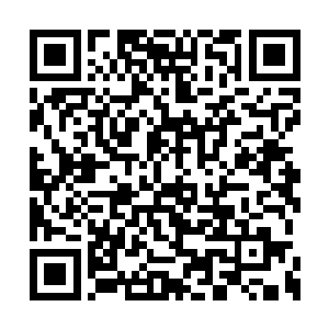 居然就这么被楚旬他们之中的一人给吞掉了……二维码生成