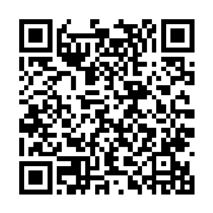 居然敢吞下一头相当于大乘初期实力的一阶土甲犀二维码生成