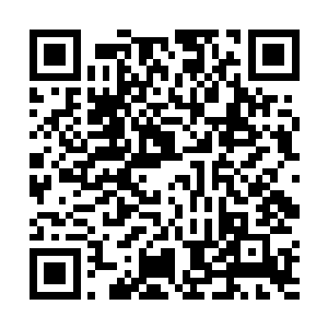居然敢带着自己在这闻名于天上地下的桃园中摘桃子吃二维码生成