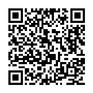 居然毫无征兆便出现在了其神枢仙识消失的地方二维码生成