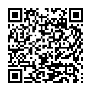 居然表现得好像比收到了邀请的五家电视台还要积极二维码生成