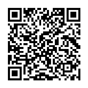 居然赶在了川田武藏和服部久成等人发呆的那么瞬间二维码生成