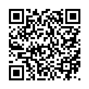 居然连一只有毒的虫子都没有了……二维码生成