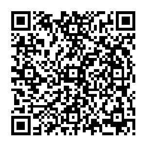 屋内看似支撑用的粗大柱子中一根离严默最近的柱子突然窜出十多根骨链缠向严默二维码生成